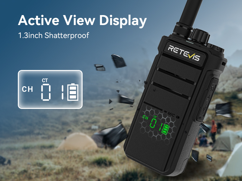 active view display