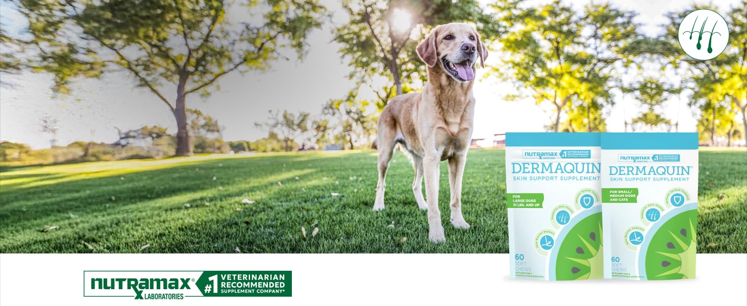 Joint Health Support for Dogs
