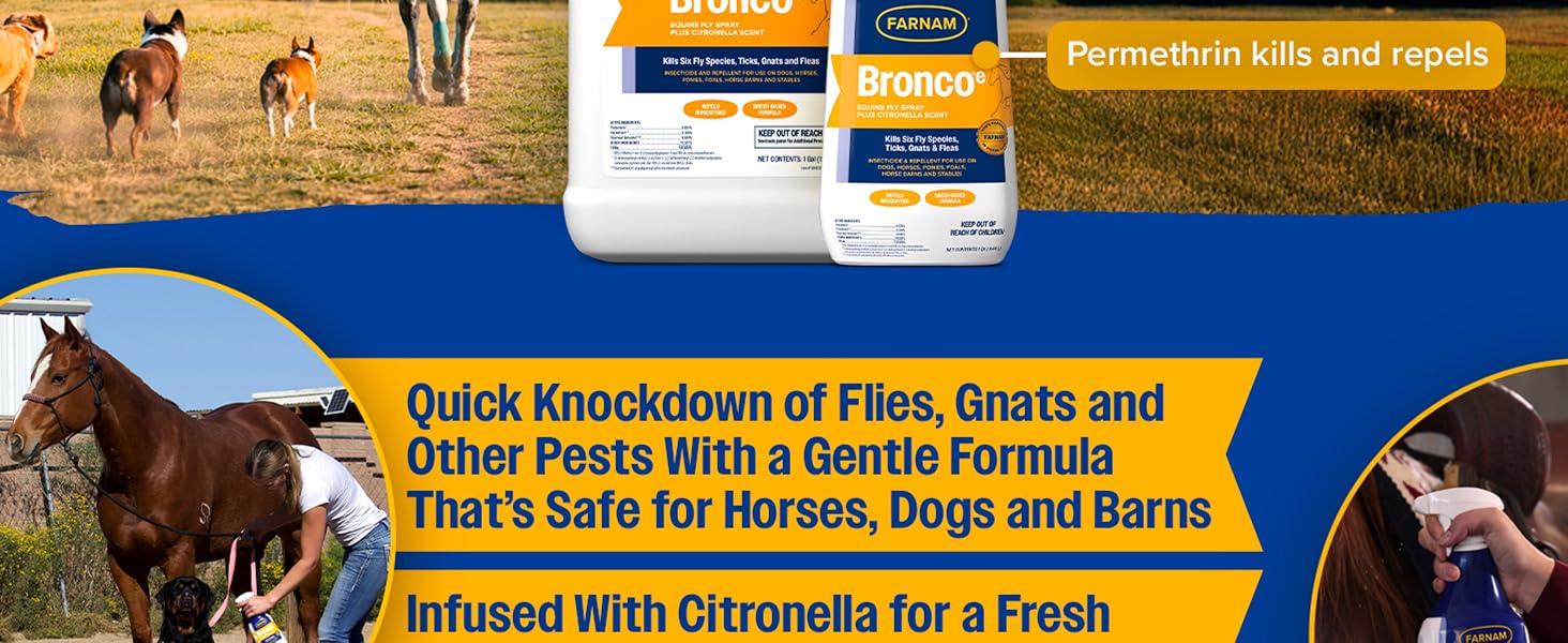 Gentle citronella fly spray for horses and dogs; kills flies, gnats, and pests with fresh scent