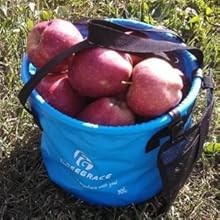 bucket for fruits