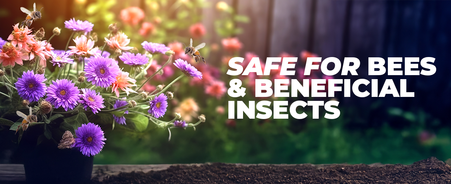 Organic Vinegar Weed Killer