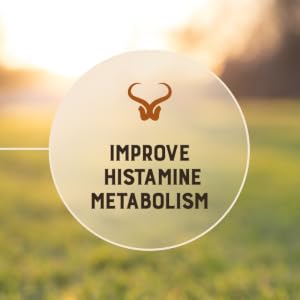 Improve Histamine Metabolism