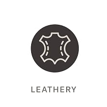 Stetson Preferred Stock