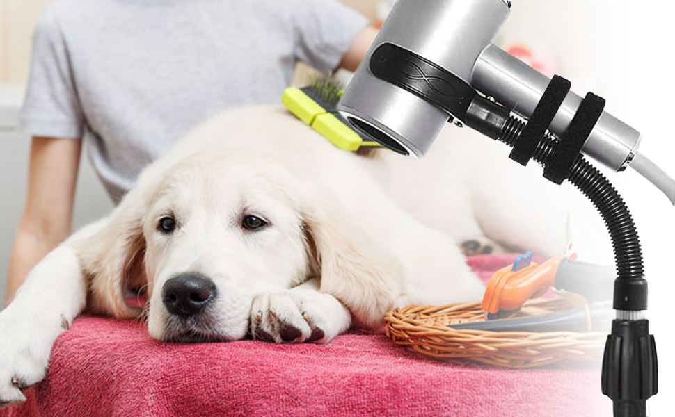 hooded hair dryer