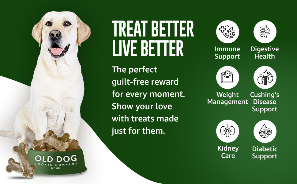 Vet Approved Dog Snacks
