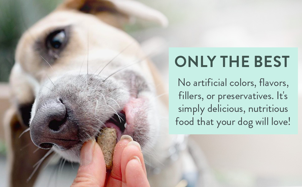 Ideal for use as a complete and balanced dog food topper, mixer, or as a reward during training.