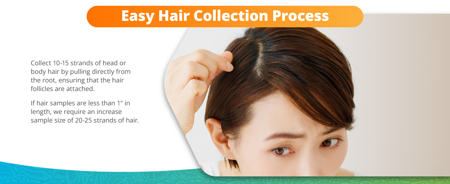 Easy hair collection process
