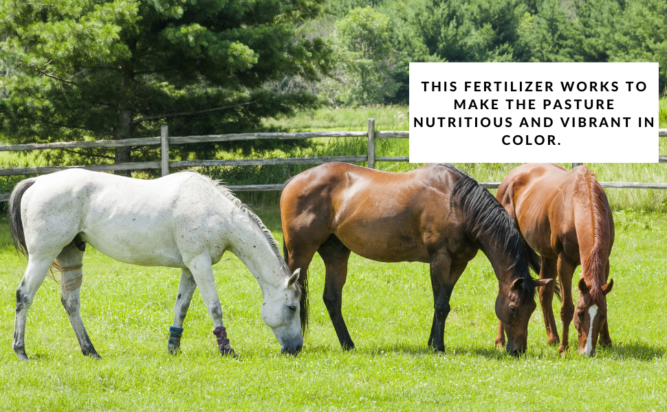 Pasture fertilizer
