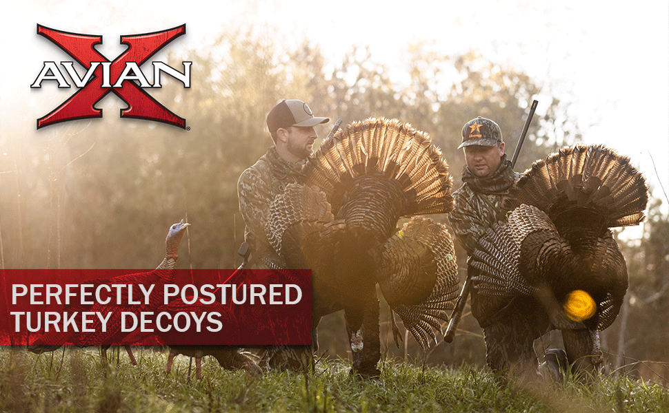 avian x turkey decoys