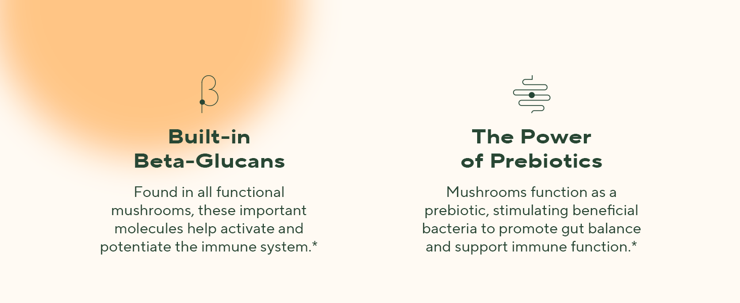 Functional mushrooms deliver beta-glucans and prebiotics that support immune health