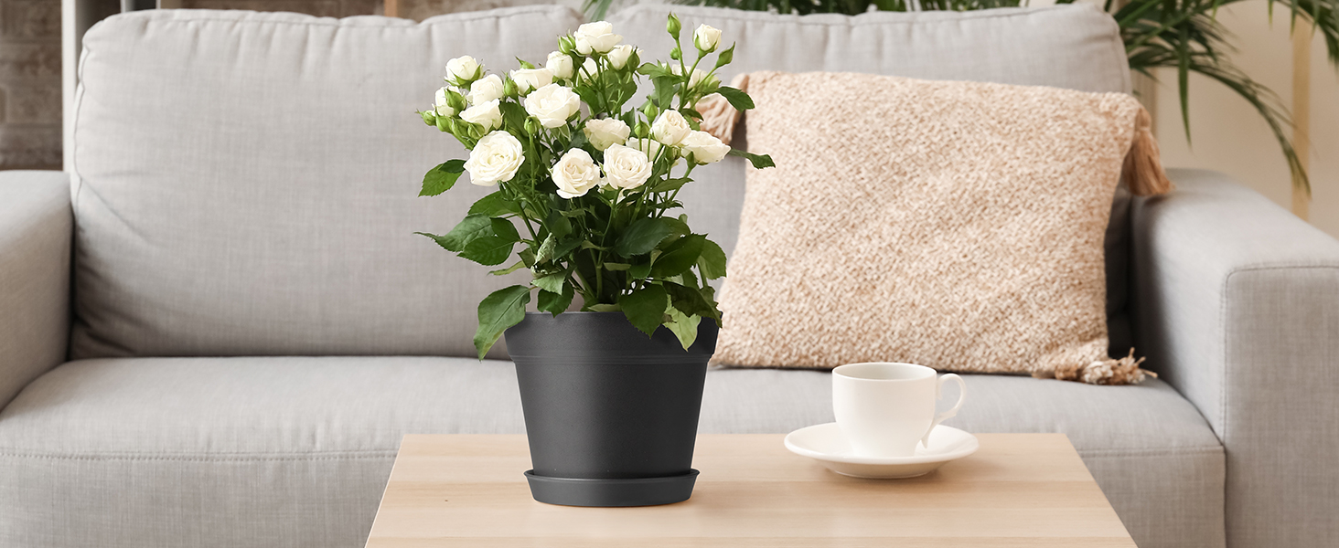 Pots for Plants