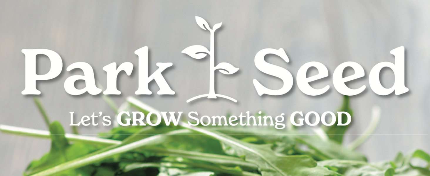 live plant bulb flower elephant ear cracker jack dill fresh cat grass indoor in door fruit vegetable