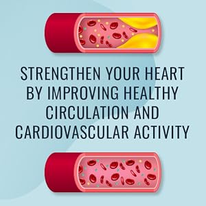 Strengthen your heart by improving healthy circulation and cardiovascular activity