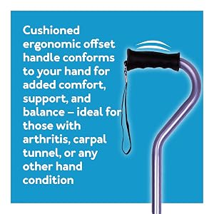 ERGO CANE