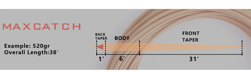 size information