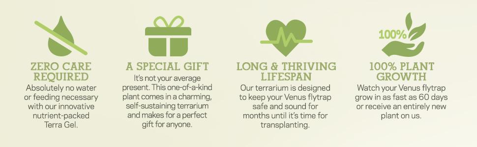 zero care plant gift perfect healthy growth green thumb