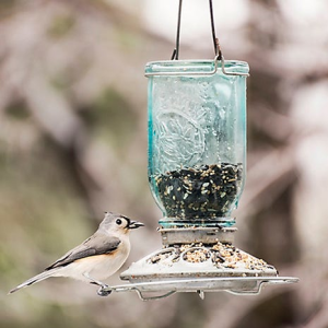 Perky-Pet Mason Jar bird feeder