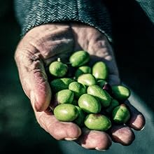 Coratina Olives