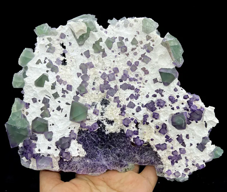 Octahedron Green Fluorite with Purple-Zoned Edges on White Zeolite, 205mm 795g, CM2372537