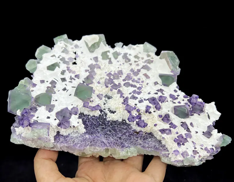 Octahedron Green Fluorite with Purple-Zoned Edges on White Zeolite, 205mm 795g, CM2372537