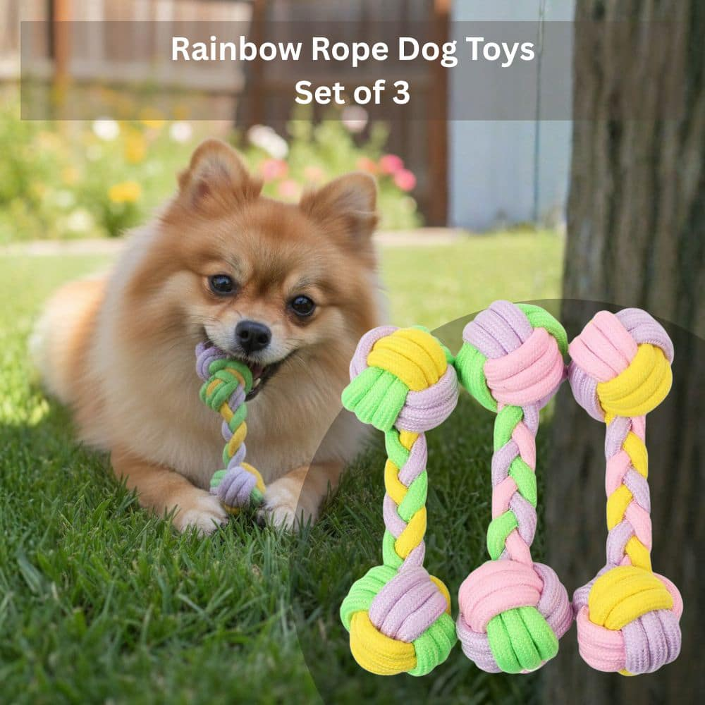 toy