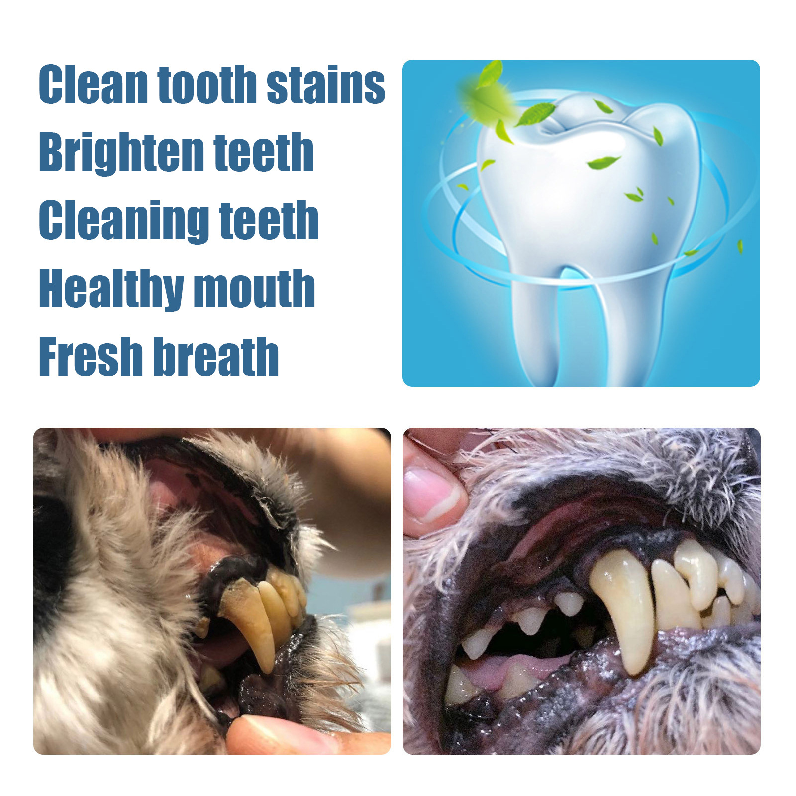 Pet Teeth Whitening Pen for Dogs & Cats – Portable Dental Cleaning Applicator