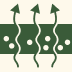 Superior Air Pruning