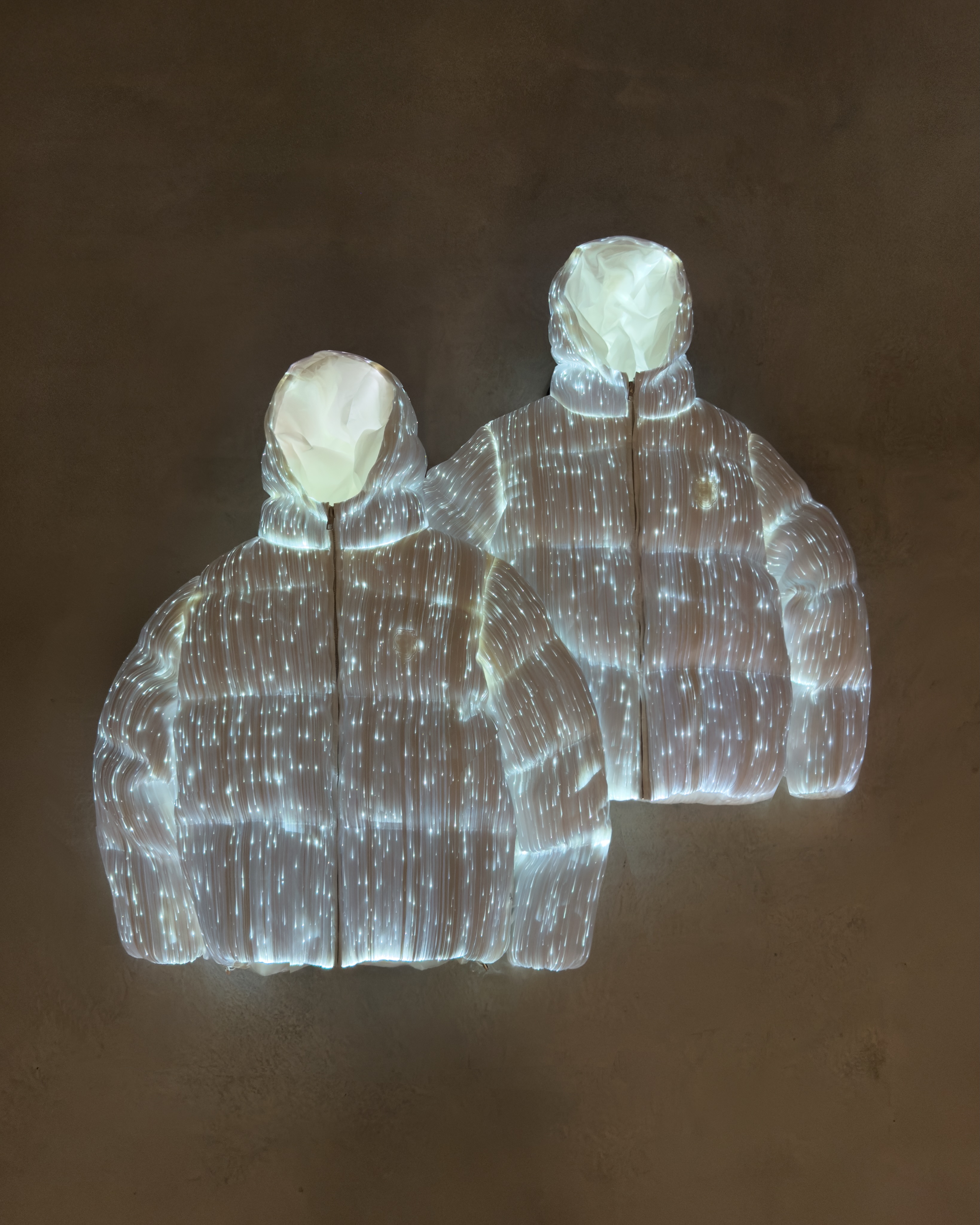 Hooded Puffer Jacket