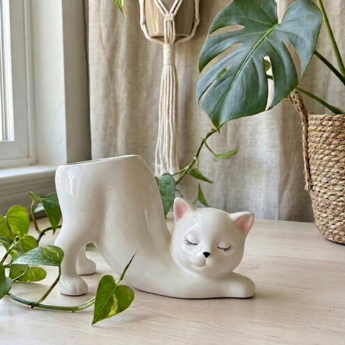 Handmade Plant Pot - 4 Options To Choose