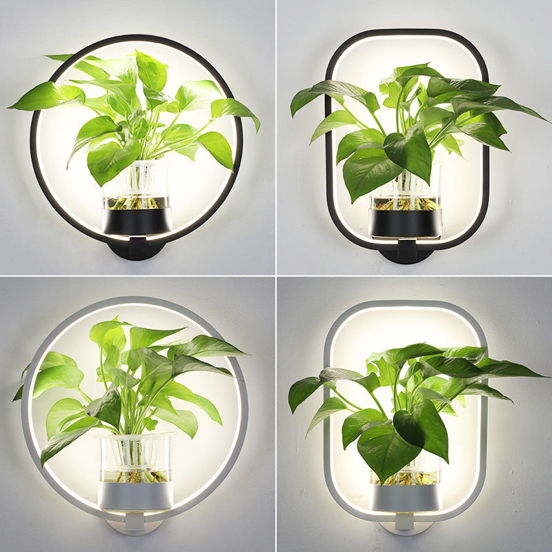 Modern Decorative Wall Lamp LED
