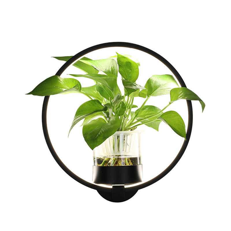 Modern Decorative Wall Lamp LED