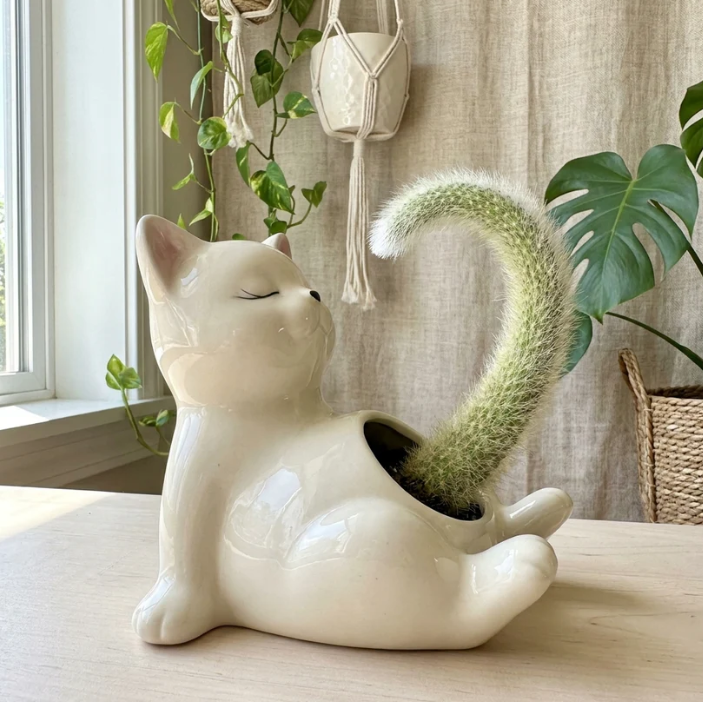 Handmade Plant Pot - 4 Options To Choose