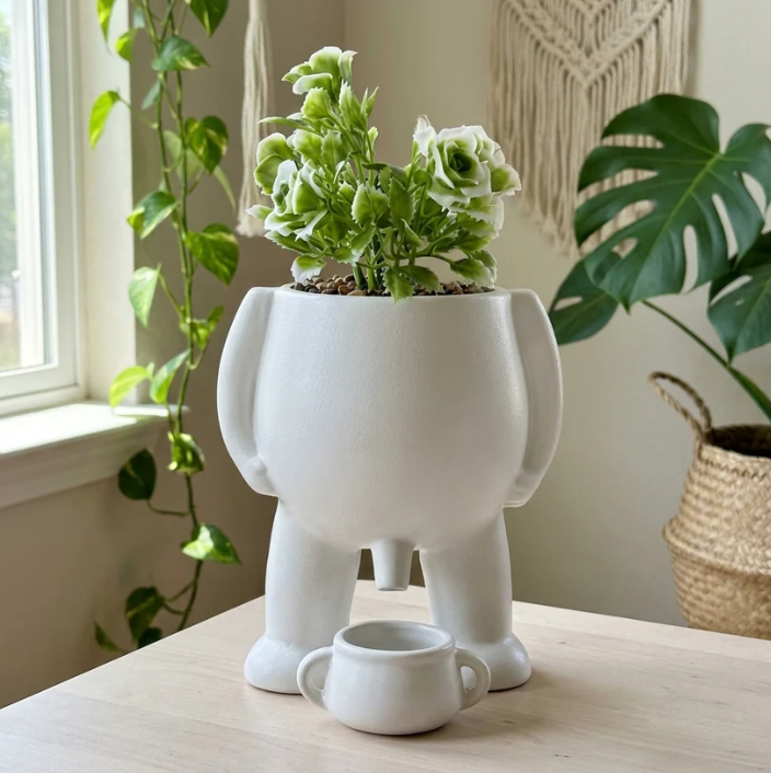 Handmade Plant Pot - 4 Options To Choose