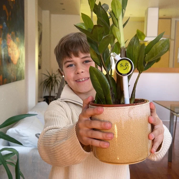 Plant Magic Wand