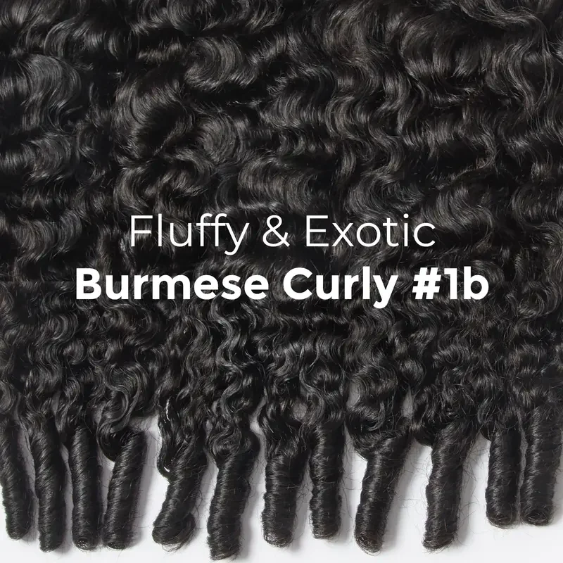 [Ashine] Burmese Curly Half Wig Quick Weave Seamless Blend Realistic Hairline Fulani Braids