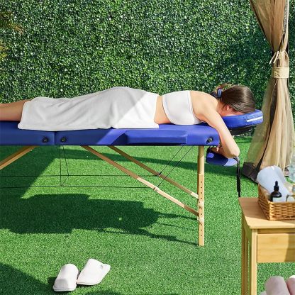 X-PROSS Cama Profesional para Tatuajes Plegable, Cómoda Y Resistente Cama para Masajes Profesional De SPA