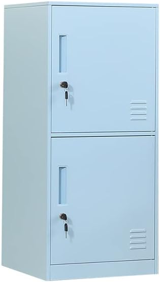 Casillero de almacenamiento vertical metálico de 2 puertas para habitación de niños, escuela, oficina, hogar, apilable, de acero, para juguetes y equipo deportivo, dispositivo antivuelco (2D,