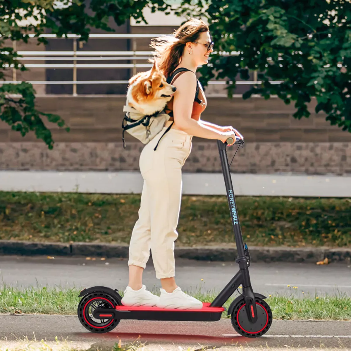 Scooter Eléctrico Patín Plegable Para Adultos S2-V2 Honey Whale Patin Electrico Con Motor Sin Escobillas Potencia Máxima 500w, Velocidad Máxima De 30km/h Con Luz Led En 4 Colores-Guantes