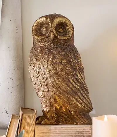 Bronzed Tabletop Owl