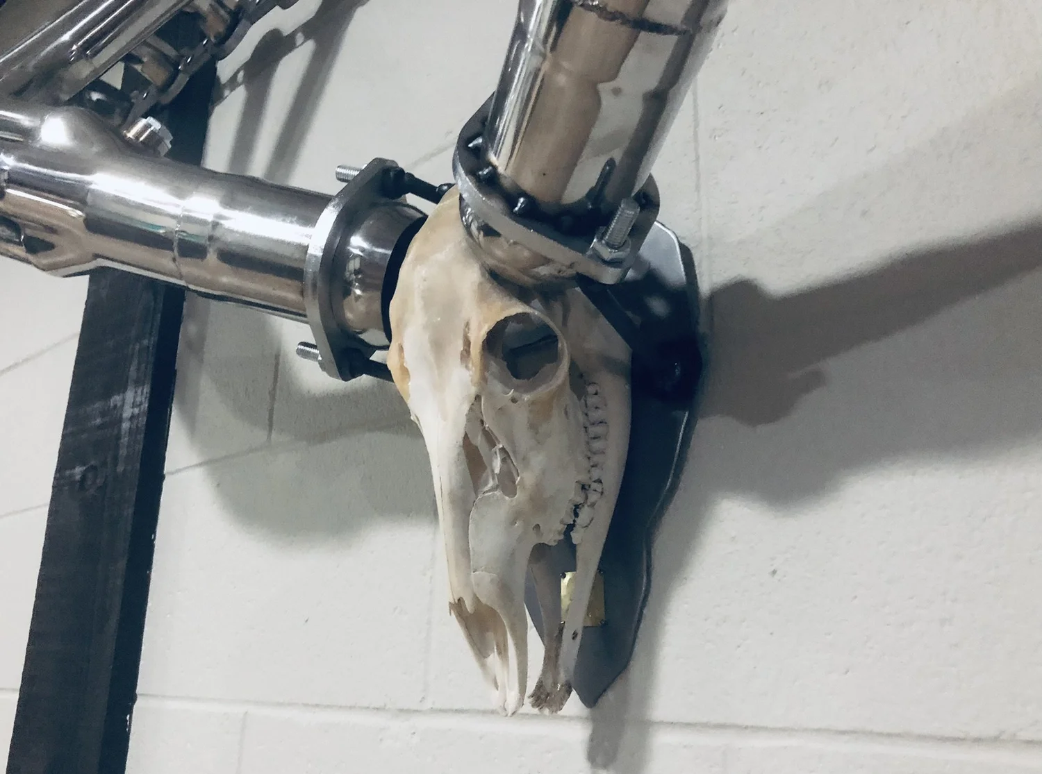 Hardcore Skull Exhaust Art 2