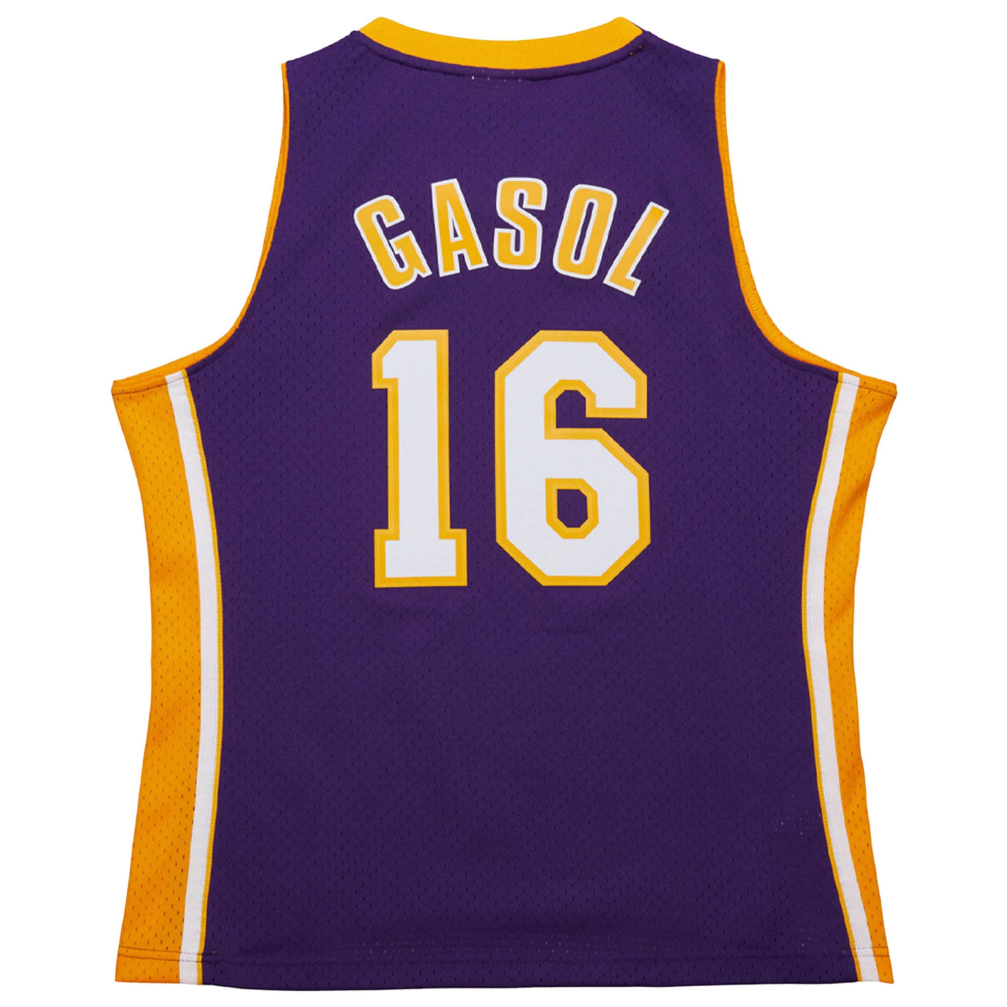 Pau Gasol Los Angeles Lakers 2009/10 Hardwood Classics Swingman Jersey - Purple - angle 3