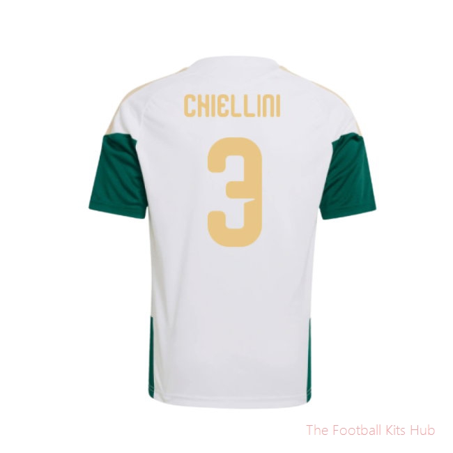 2026/27 Italy Training Jersey (White) - Kids (Chiellini 3)
