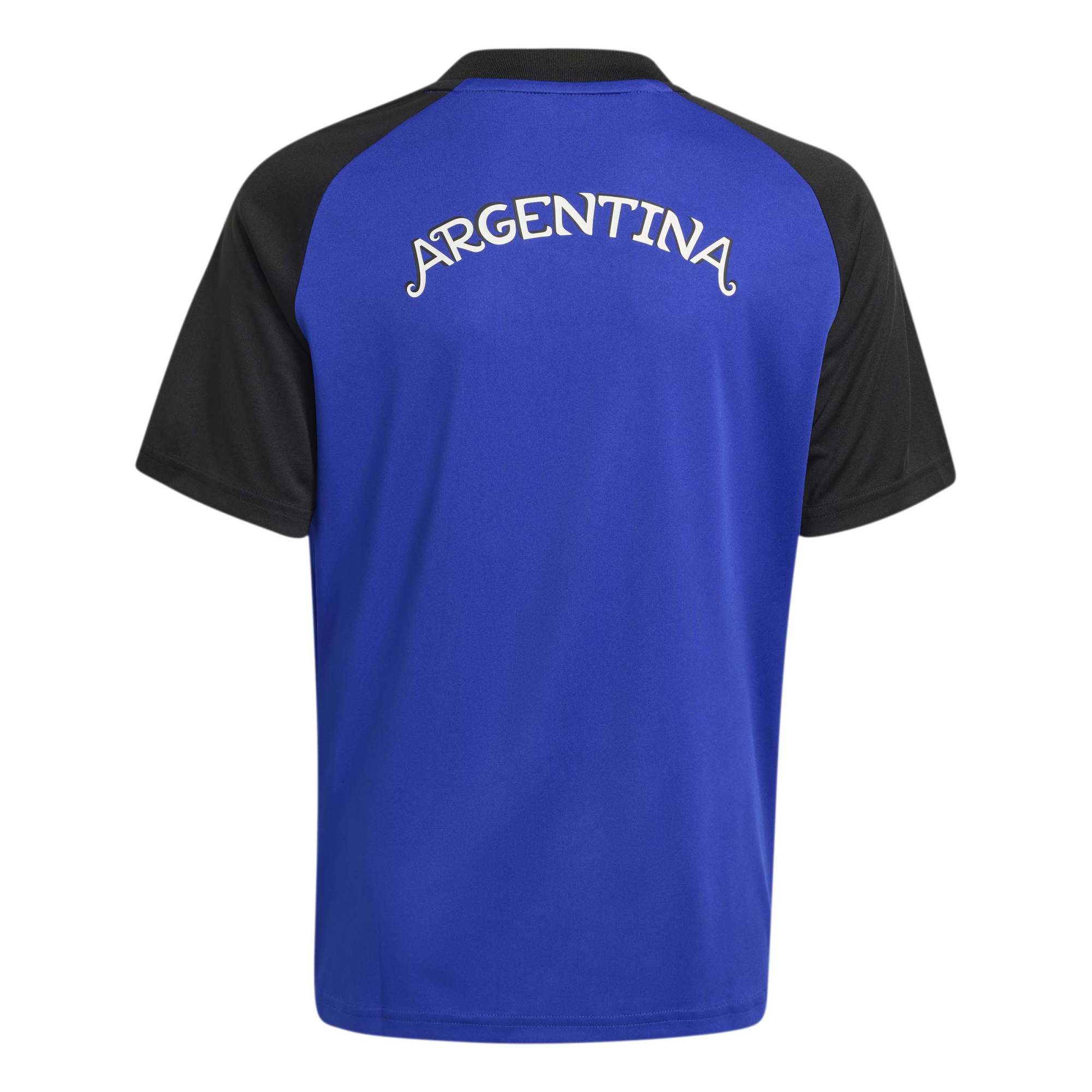 Argentina National Team Youth 2026 Pre-Match Jersey Top - Blue - angle 6