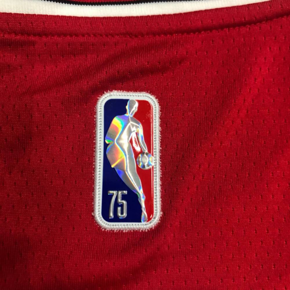 Men's Chicago Bulls Alex Caruso #6 Nike Red 2021 Swingman Jersey - Icon Edition-League Wear Hub