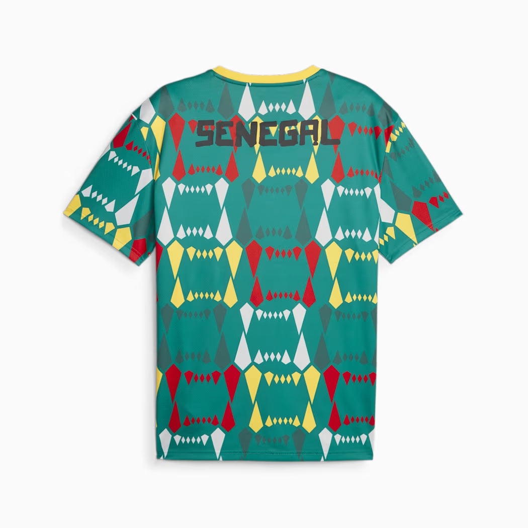 Senegal CAN 2024 Jersey Football Culture-League Wear Hub