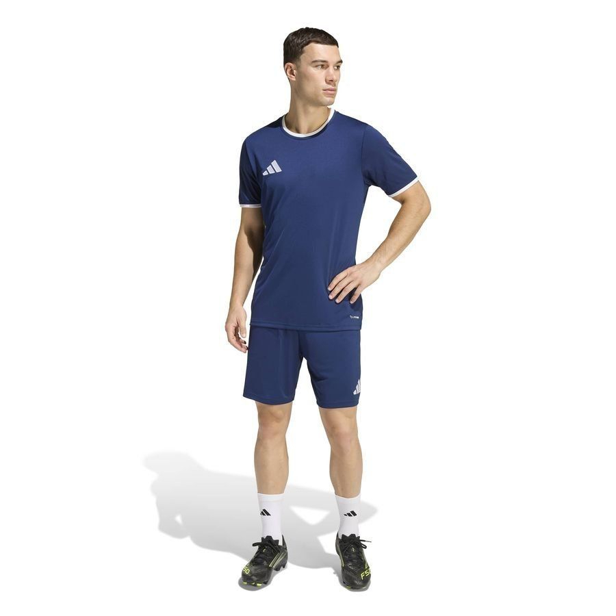 Strømsgodset Toppfotball adidas Treningsshorts Entrada 26 - Team Navy/White-League Wear Hub