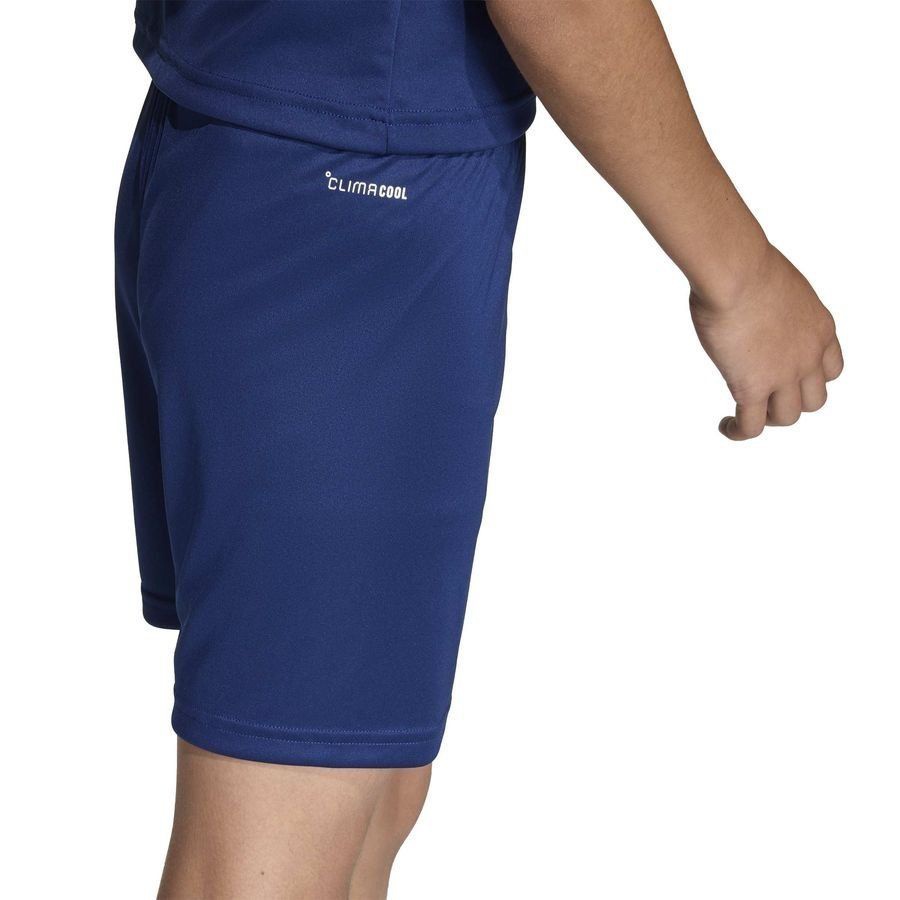 Strømsgodset Toppfotball adidas Treningsshorts Entrada 26 - Team Navy/White Kids-League Wear Hub