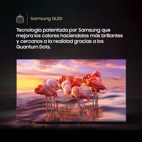 Solo una unidad disponible -QLED 65" UHD 4K Smart TV Q6 QN65Q6FAAGXPE