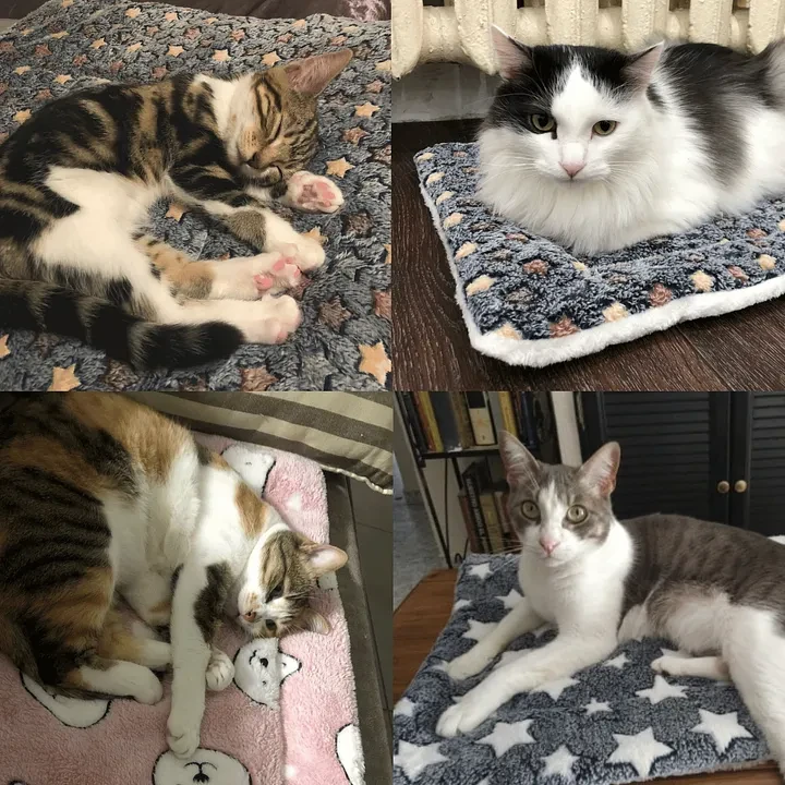 New Year Hot Sale Cosy Calming Cat Blanket