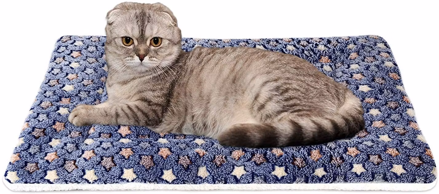 New Year Hot Sale Cosy Calming Cat Blanket